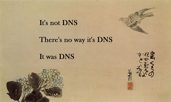 securing-your-dns-meme