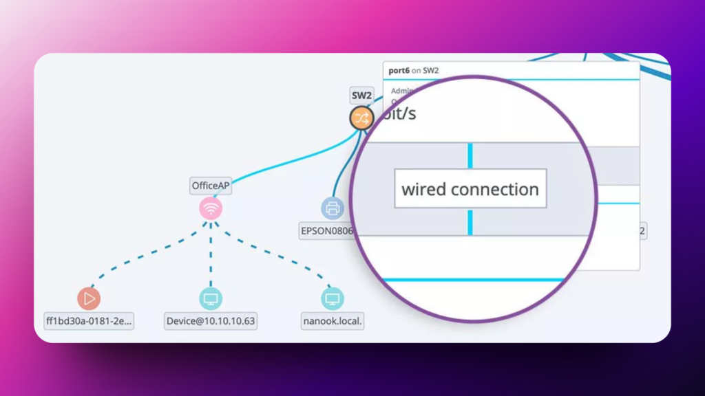 Auvik screenshot - wired connection