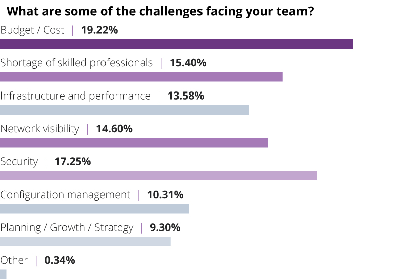 graph - what are some of the challenges facing your team?