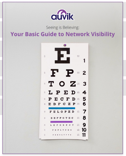 Seeing is believing: Your Basic Guide to Network Visibility