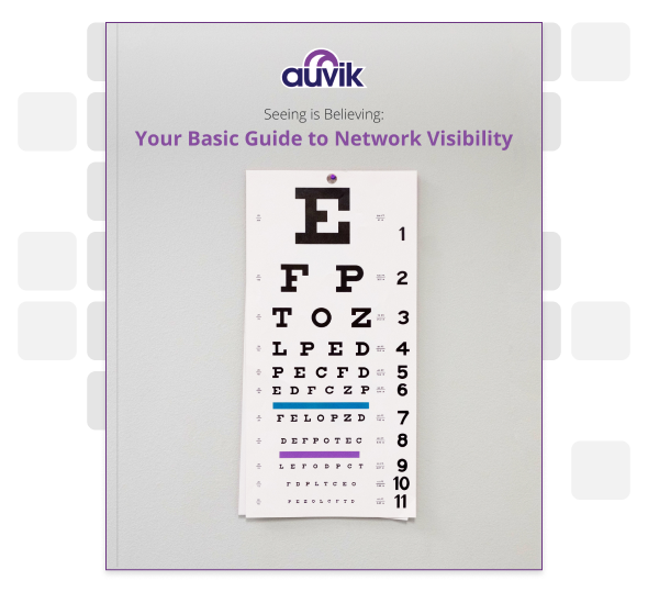 Seeing is believing: Your Basic Guide to Network Visibility