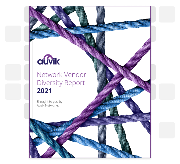 Ebook cover - Network Vendor Diversity Report 2021