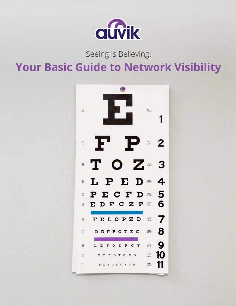 Ebook - Your Basic Guide to Network Visibility