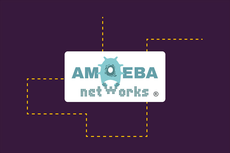 Amoeba Networks