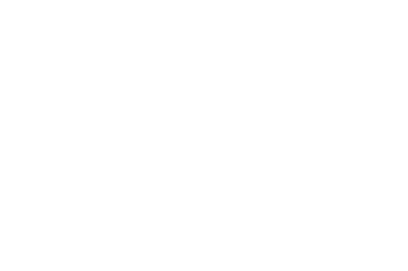 pax8 logo